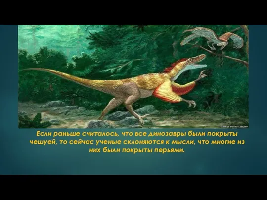 Если раньше считалось, что все динозавры были покрыты чешуей, то сейчас ученые