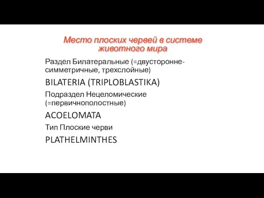 Место плоских червей в системе животного мира Раздел Билатеральные (=двусторонне-симметричные, трехслойные) BILATERIA