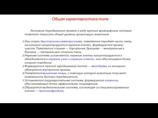 Активное передвижение привело к ряду крупных ароморфозов, которые позволили повысить общий уровень