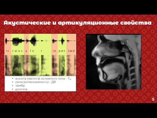 Акустические и артикуляционные свойства высота (частота) основного тона – Гц сила (интенсивность) – Дб тембр долгота