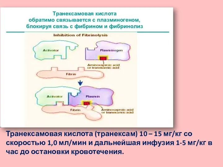 Транексамовая кислота (транексам) 10 – 15 мг/кг со скоростью 1,0 мл/мин и