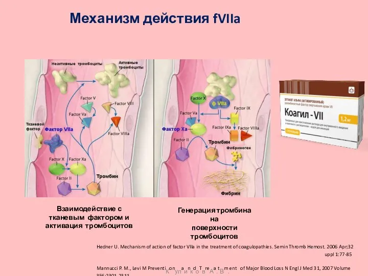 Механизм действия fVIIa Взаимодействие с тканевым фактором и активация тромбоцитов Генерация тромбина