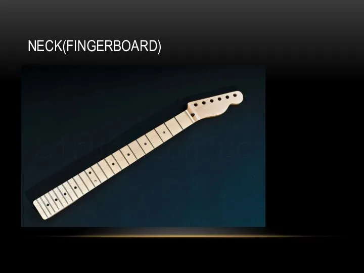 NECK(FINGERBOARD)