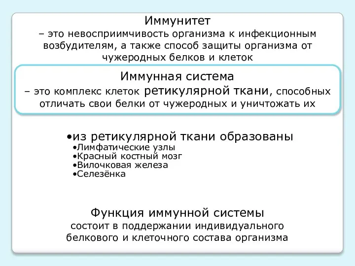 Иммунная система – это комплекс клеток ретикулярной ткани, способных отличать свои белки