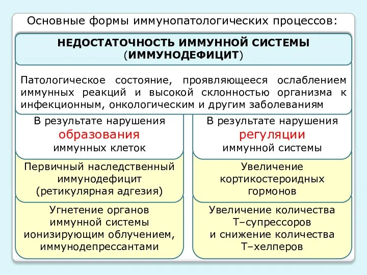 Увеличение количества Т–супрессоров и снижение количества Т–хелперов Угнетение органов иммунной системы ионизирующим