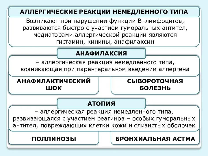 ПОЛЛИНОЗЫ БРОНХИАЛЬНАЯ АСТМА СЫВОРОТОЧНАЯ БОЛЕЗНЬ АНАФИЛАКТИЧЕСКИЙ ШОК – аллергическая реакция немедленного типа,