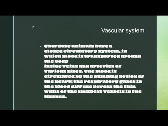 Vascular system Chordate animals have a closed circulatory system, in which blood
