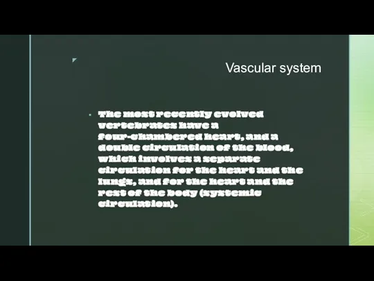 Vascular system The most recently evolved vertebrates have a four-chambered heart, and