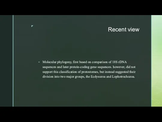 Recent view Molecular phylogeny, first based on comparison of 18S rDNA sequences