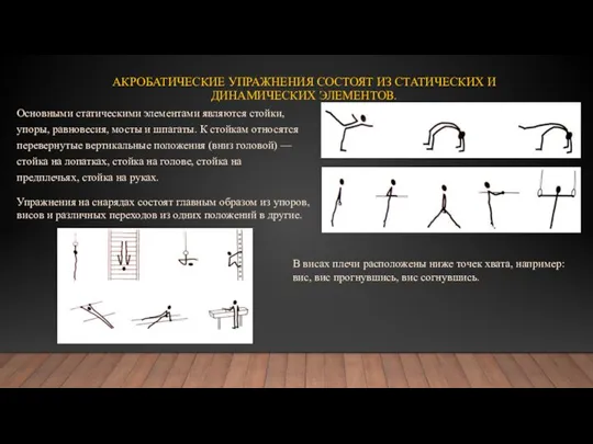 АКРОБАТИЧЕСКИЕ УПРАЖНЕНИЯ СОСТОЯТ ИЗ СТАТИЧЕСКИХ И ДИНАМИ­ЧЕСКИХ ЭЛЕМЕНТОВ. Основными статическими элементами являются
