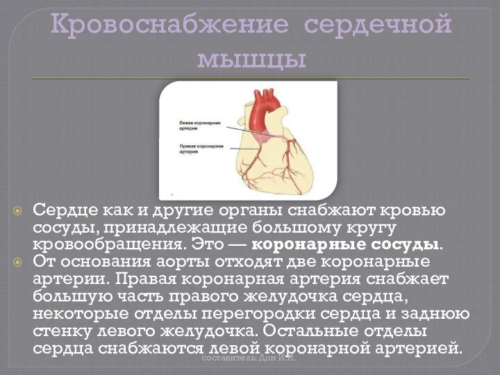 Кровоснабжение сердечной мышцы Сердце как и другие органы снабжают кровью сосуды, принадлежащие