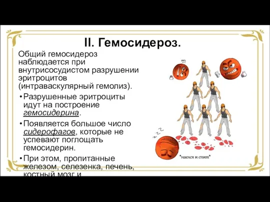 II. Гемосидероз. Общий гемосидероз наблюдается при внутрисосудистом разрушении эритроцитов (интраваскулярный гемолиз). Разрушенные