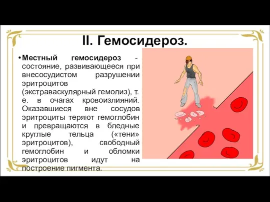 II. Гемосидероз. Местный гемосидероз - состояние, развивающееся при внесосудистом разрушении эритроцитов (экстраваскулярный