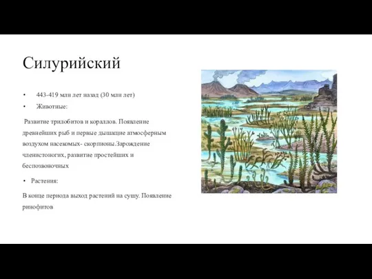 Силурийский 443-419 млн лет назад (30 млн лет) Животные: Развитие трилобитов и