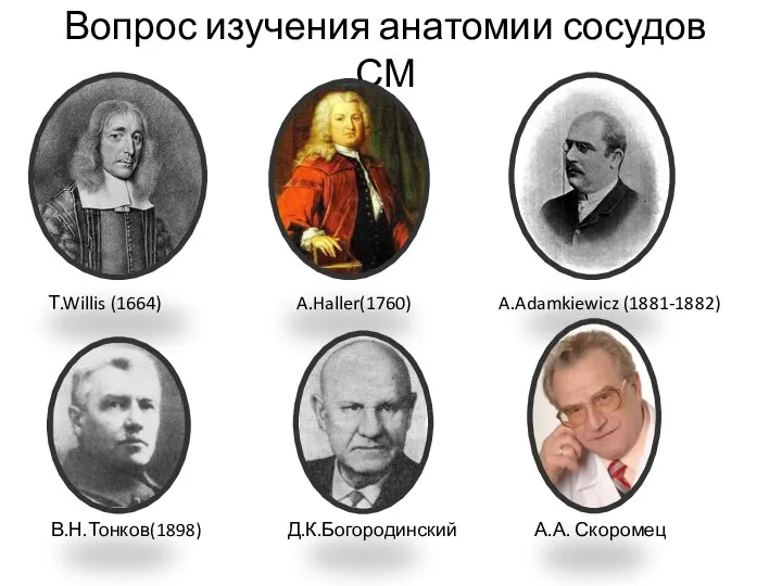 Вопрос изучения анатомии сосудов СМ Т.Willis (1664) A.Haller(1760) A.Adamkiewicz (1881-1882) В.Н.Тонков(1898) Д.К.Богородинский А.А. Скоромец