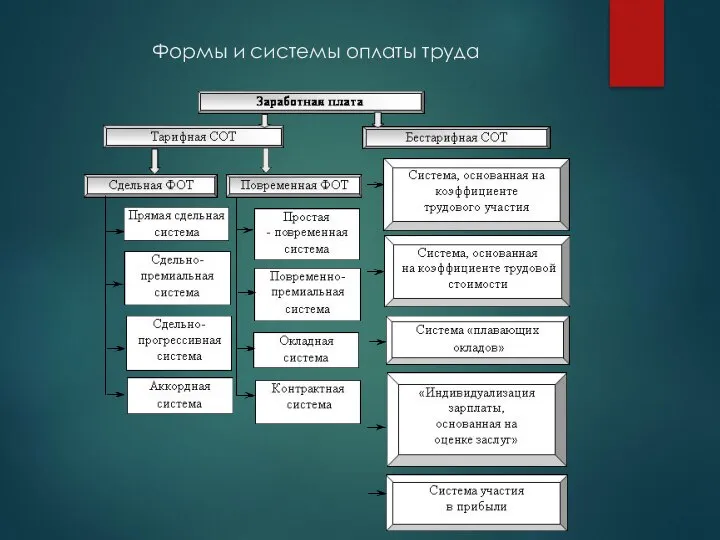 Формы и системы оплаты труда