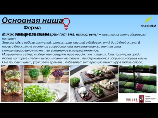 Основная ниша Ферма микрозелени Микрозелень или микрогрин (от анг. microgreens) — новинка