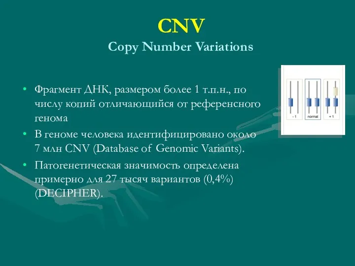 CNV Copy Number Variations Фрагмент ДНК, размером более 1 т.п.н., по числу