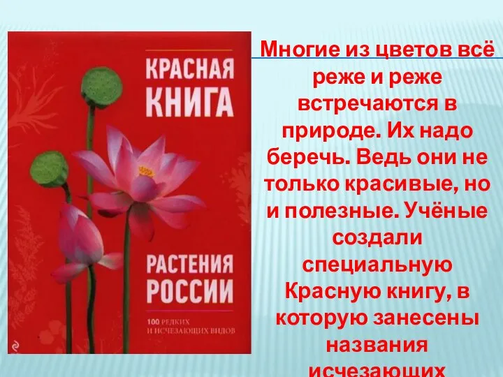 Многие из цветов всё реже и реже встречаются в природе. Их надо