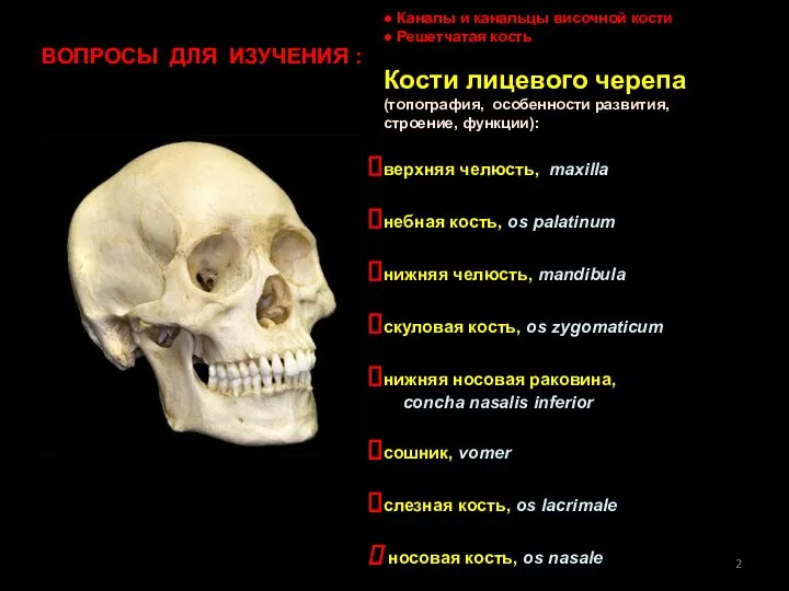 ● Каналы и канальцы височной кости ● Решетчатая кость Кости лицевого черепа