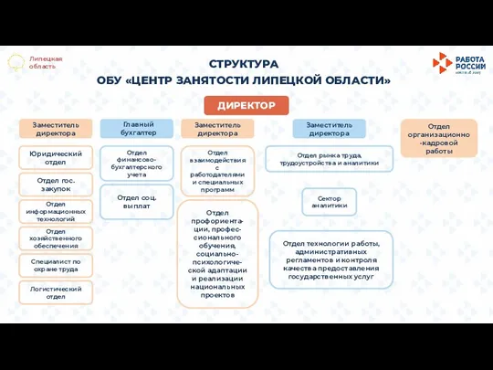 Липецкая область СТРУКТУРА ОБУ «ЦЕНТР ЗАНЯТОСТИ ЛИПЕЦКОЙ ОБЛАСТИ» ДИРЕКТОР Заместитель директора Заместитель