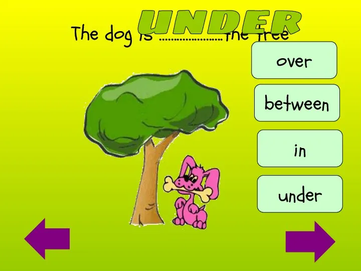 The dog is ………………....the tree under under between over in