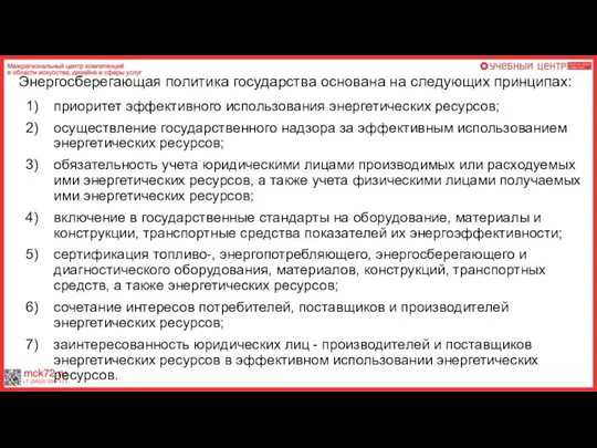 приоритет эффективного использования энергетических ресурсов; осуществление государственного надзора за эффективным использованием энергетических