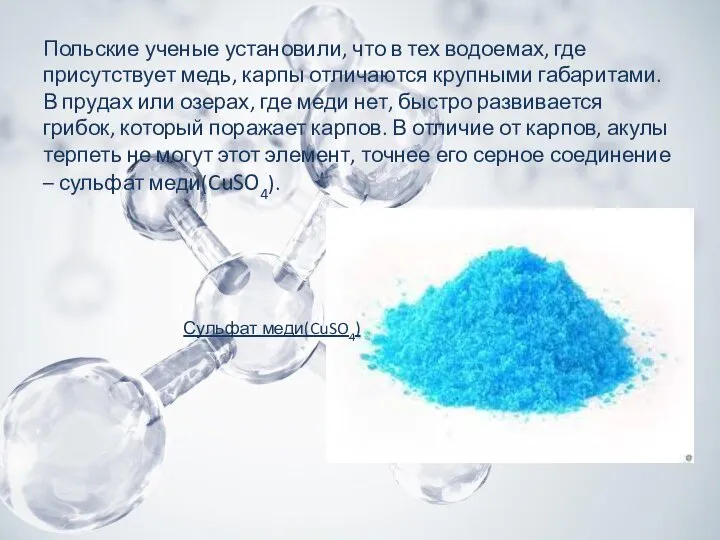 Польские ученые установили, что в тех водоемах, где присутствует медь, карпы отличаются