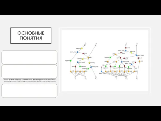 ОСНОВНЫЕ ПОНЯТИЯ