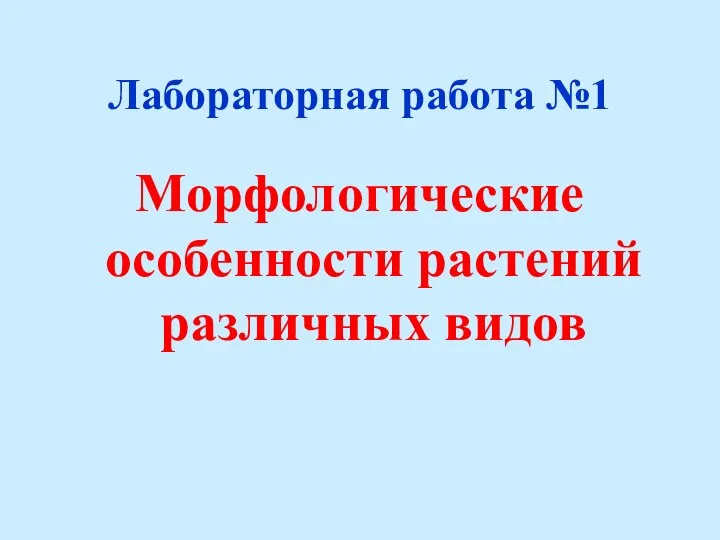 Лабораторная работа №1 Морфологические особенности растений различных видов