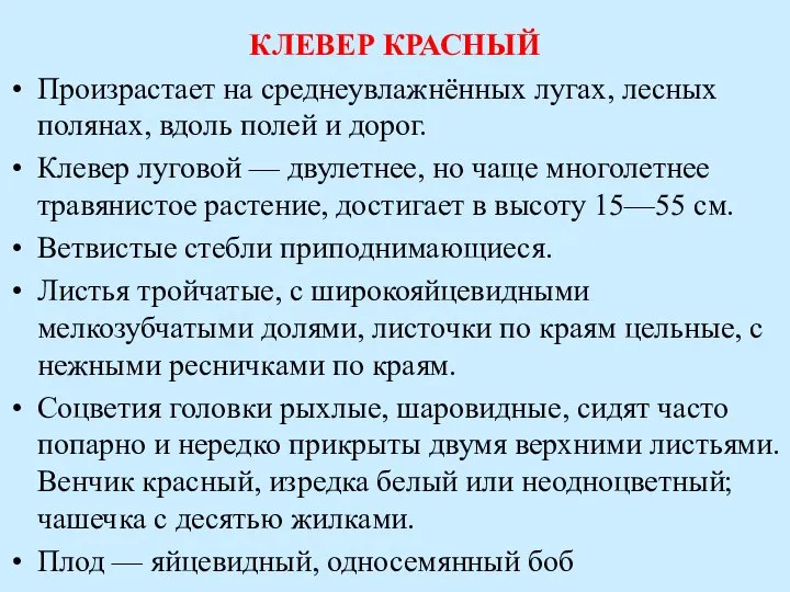 КЛЕВЕР КРАСНЫЙ Произрастает на среднеувлажнённых лугах, лесных полянах, вдоль полей и дорог.