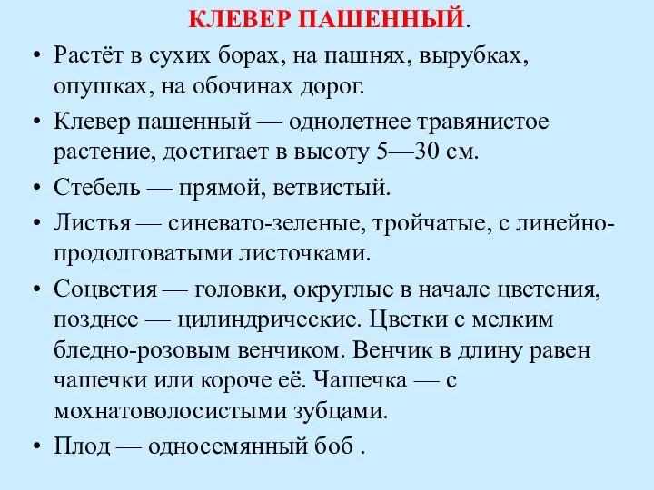 КЛЕВЕР ПАШЕННЫЙ. Растёт в сухих борах, на пашнях, вырубках, опушках, на обочинах