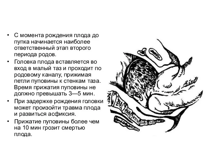 С момента рождения плода до пупка начинается наиболее ответственный этап второго периода