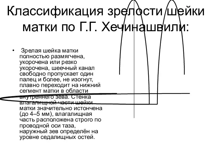 Зрелая шейка матки полностью размягчена, укорочена или резко укорочена, шеечный канал свободно