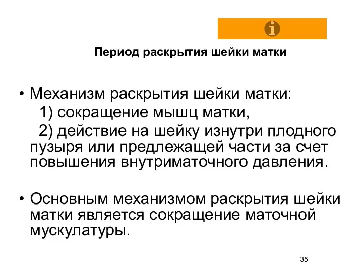 Механизм раскрытия шейки матки: 1) сокращение мышц матки, 2) действие на шейку