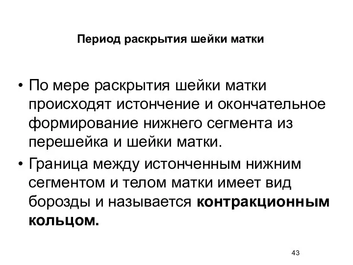 По мере раскрытия шейки матки происходят истончение и окончательное формирование нижнего сегмента