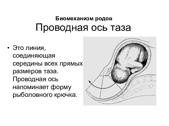 Проводная ось таза Это линия, соединяющая середины всех прямых размеров таза. Проводная