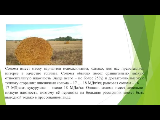 Солома имеет массу вариантов использования, однако, для нас представляет интерес в качестве