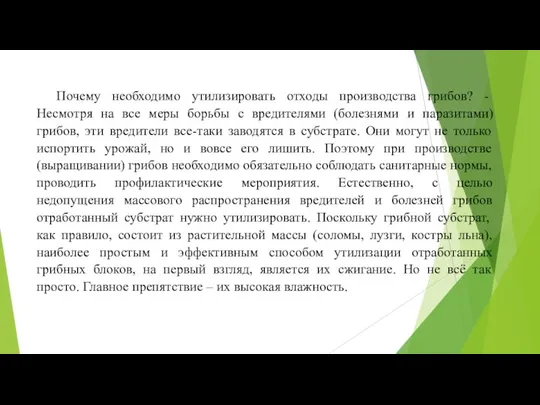 Почему необходимо утилизировать отходы производства грибов? - Несмотря на все меры борьбы