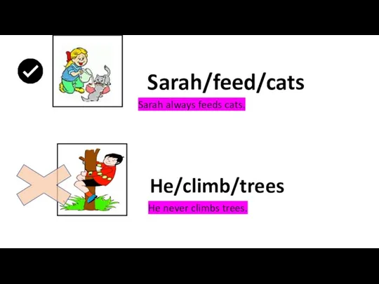 Sarah/feed/cats He/climb/trees Sarah always feeds cats. He never climbs trees.