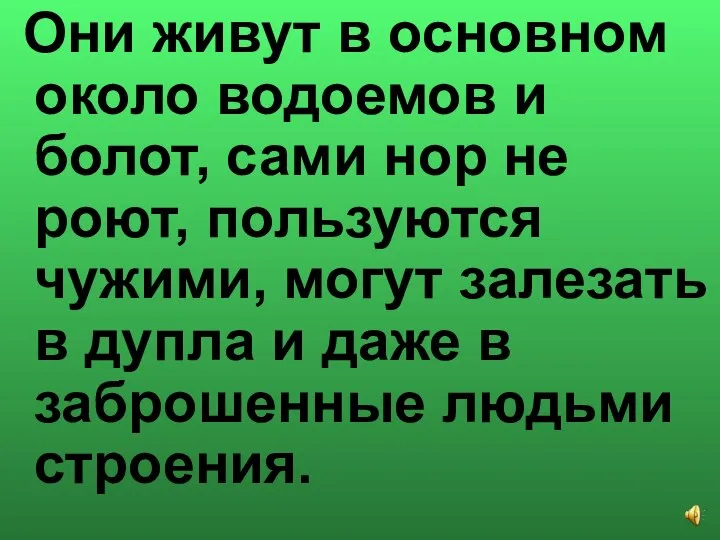 Они живут в основном около водоемов и болот, сами нор не роют,