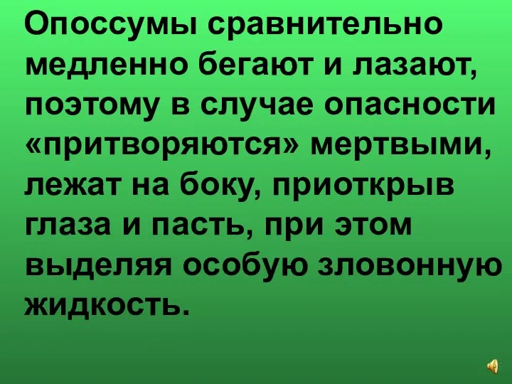 Опоссумы сравнительно медленно бегают и лазают, поэтому в случае опасности «притворяются» мертвыми,