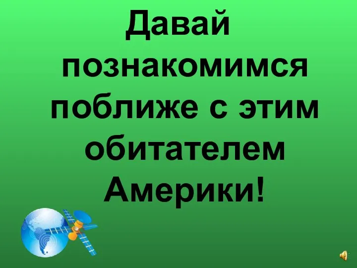 Давай познакомимся поближе с этим обитателем Америки!