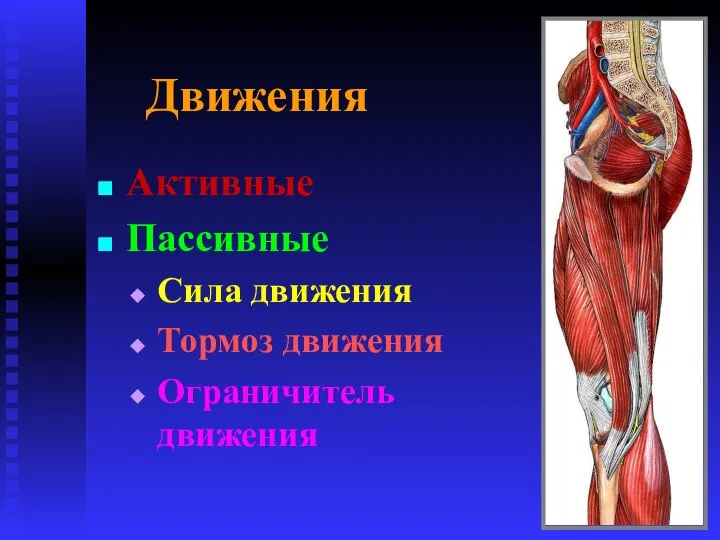 Движения Активные Пассивные Сила движения Тормоз движения Ограничитель движения