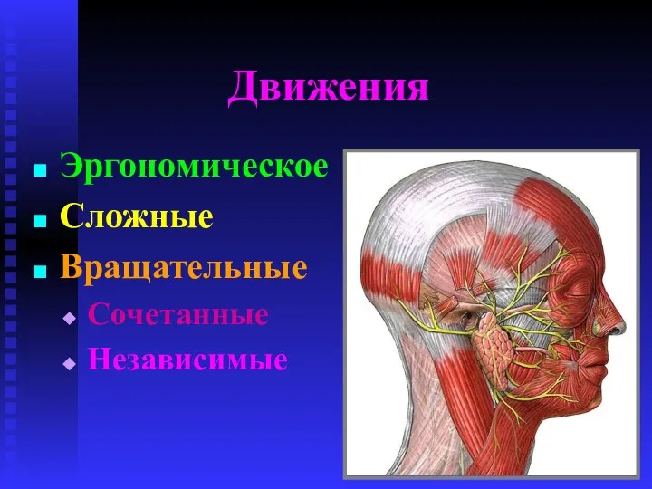 Движения Эргономическое Сложные Вращательные Сочетанные Независимые