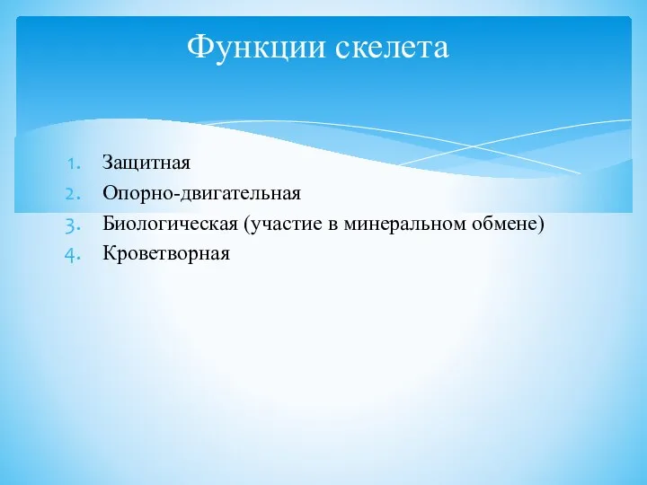 Защитная Опорно-двигательная Биологическая (участие в минеральном обмене) Кроветворная Функции скелета