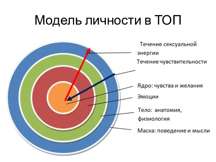 Модель личности в ТОП