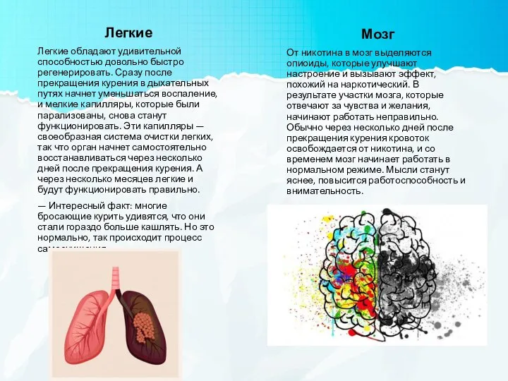 Легкие Легкие обладают удивительной способностью довольно быстро регенерировать. Сразу после прекращения курения