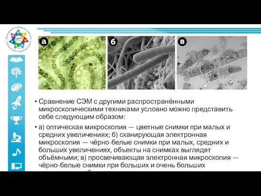 Сравнение СЭМ с другими распространёнными микроскопическими техниками условно можно представить себе следующим