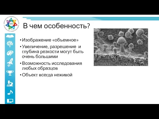 В чем особенность? Изображение «объемное» Увеличение, разрешение и глубина резкости могут быть